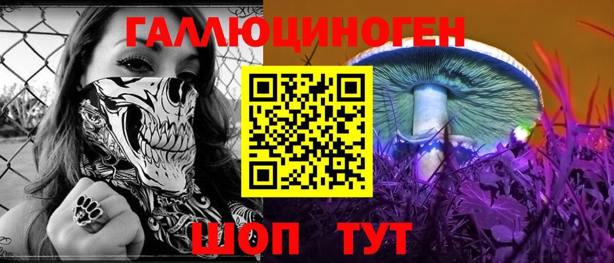 Галлюциногенные грибы GOLDEN TEACHER  Псилоцибиновые грибы мухоморы  наркота  Донецк  Вход с VPN 